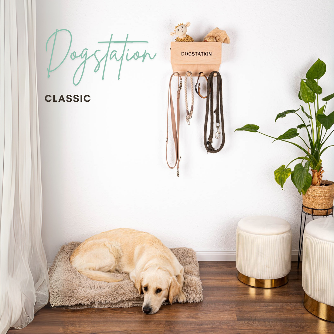 Hundegarderobe Classic
